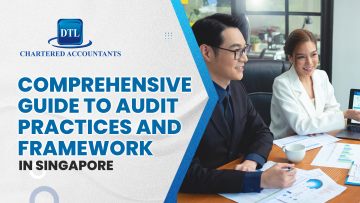 Comprehensive Guide to Audit Practices and Framework in Singapore